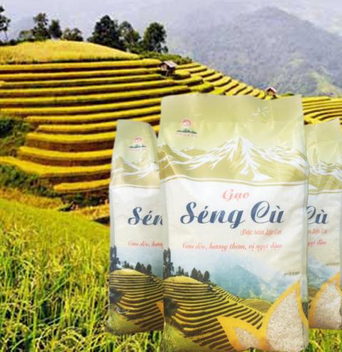 GẠO TẺ SÉNG CÙ túi 5kg