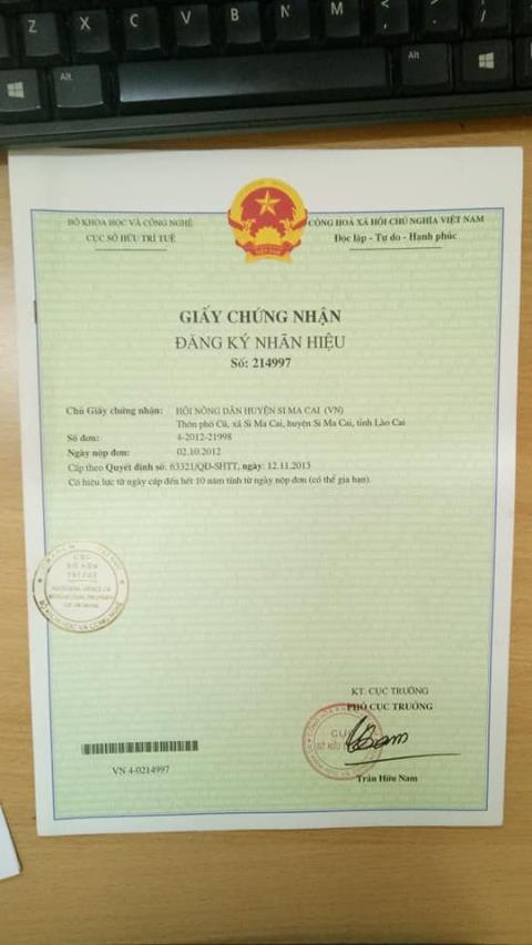 Giấy chứng nhận đăng ký nhãn hiệu