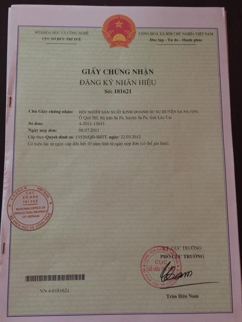 Giấy chứng nhận đăng ký nhãn hiệu