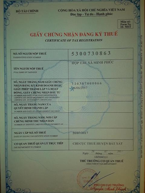 Giấy chứng nhận đăng ký thuế
