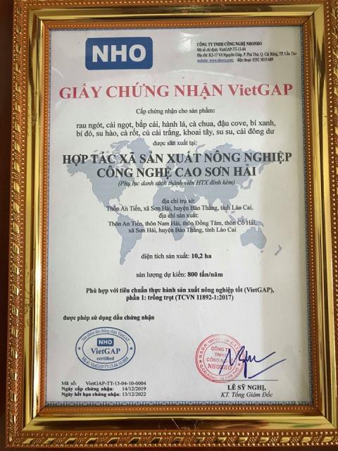 Giấy chứng nhận VietGAP