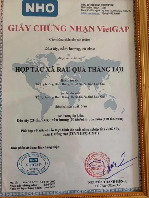 Giấy chứng nhận VietGAP