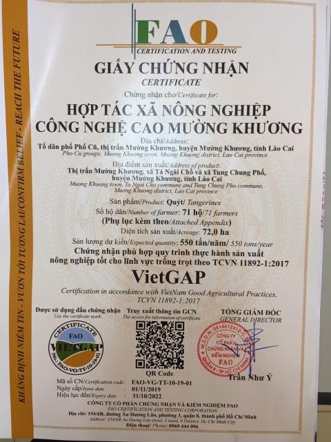 Giấy chứng nhận VietGAP