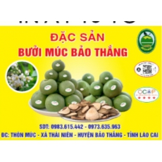 HTX Bưởi Múc xã Thái niên