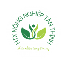 HTX Nông nghiệp Tân Thịnh