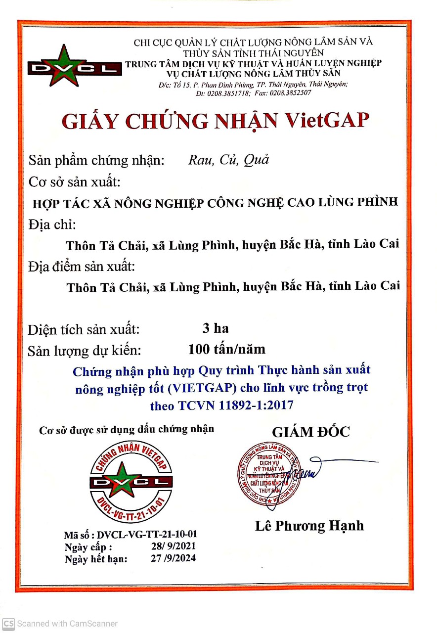 Giấy Chứng nhận VietGap