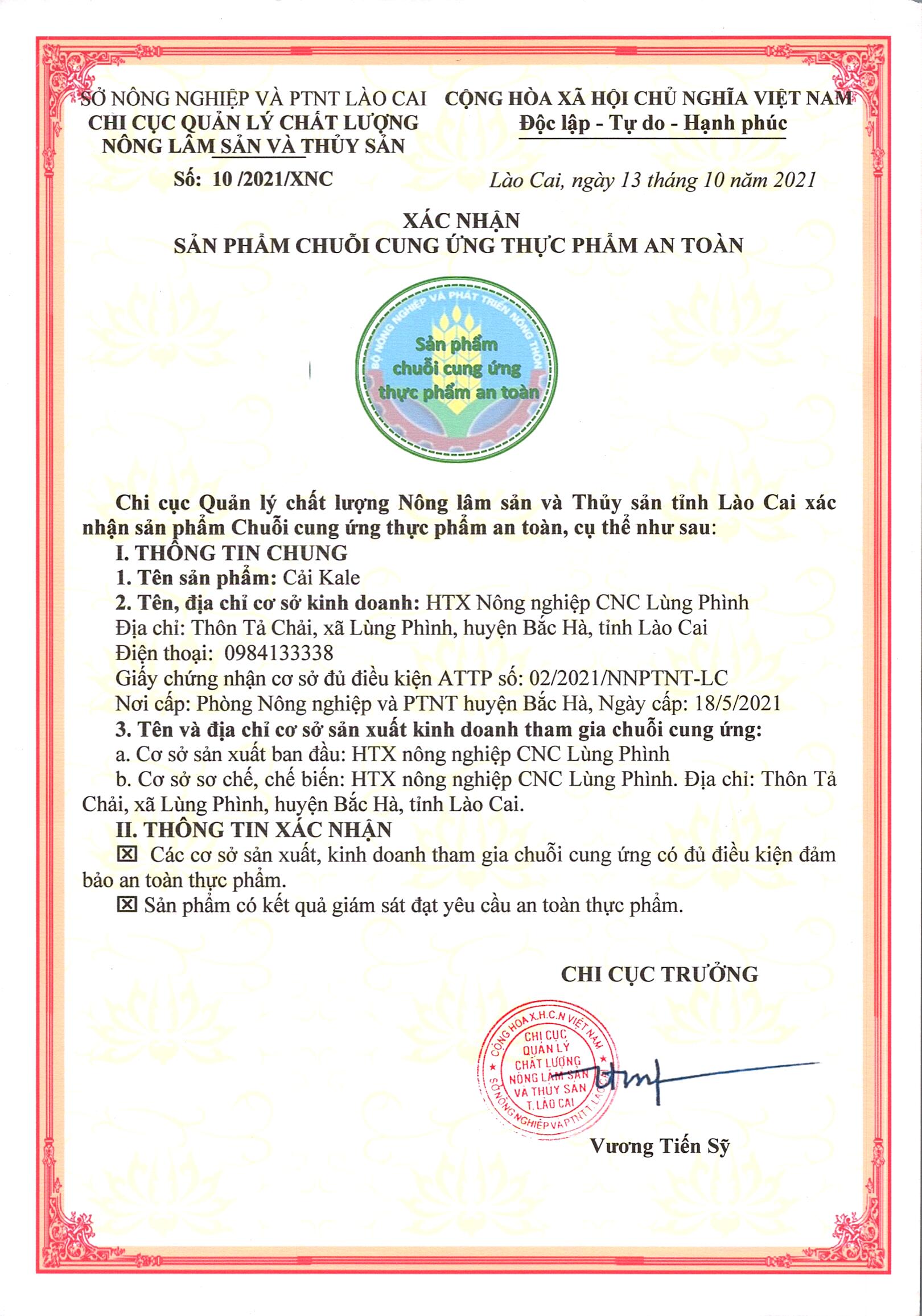 Rau Cải Kale Cải xoăn