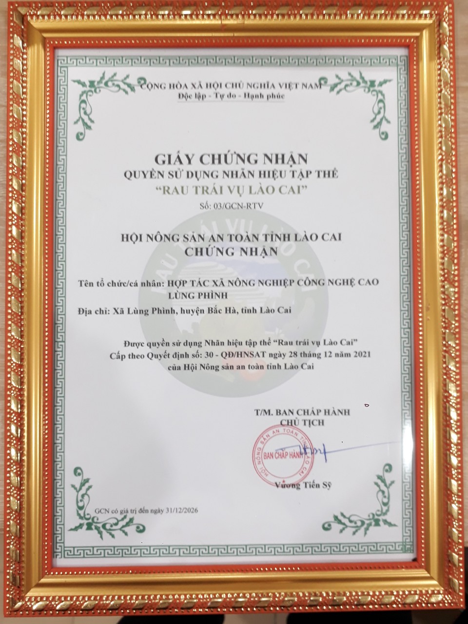 GCN quyền sử dụng nhãn hiệu tập thể Rau trái vụ Lào Cai"