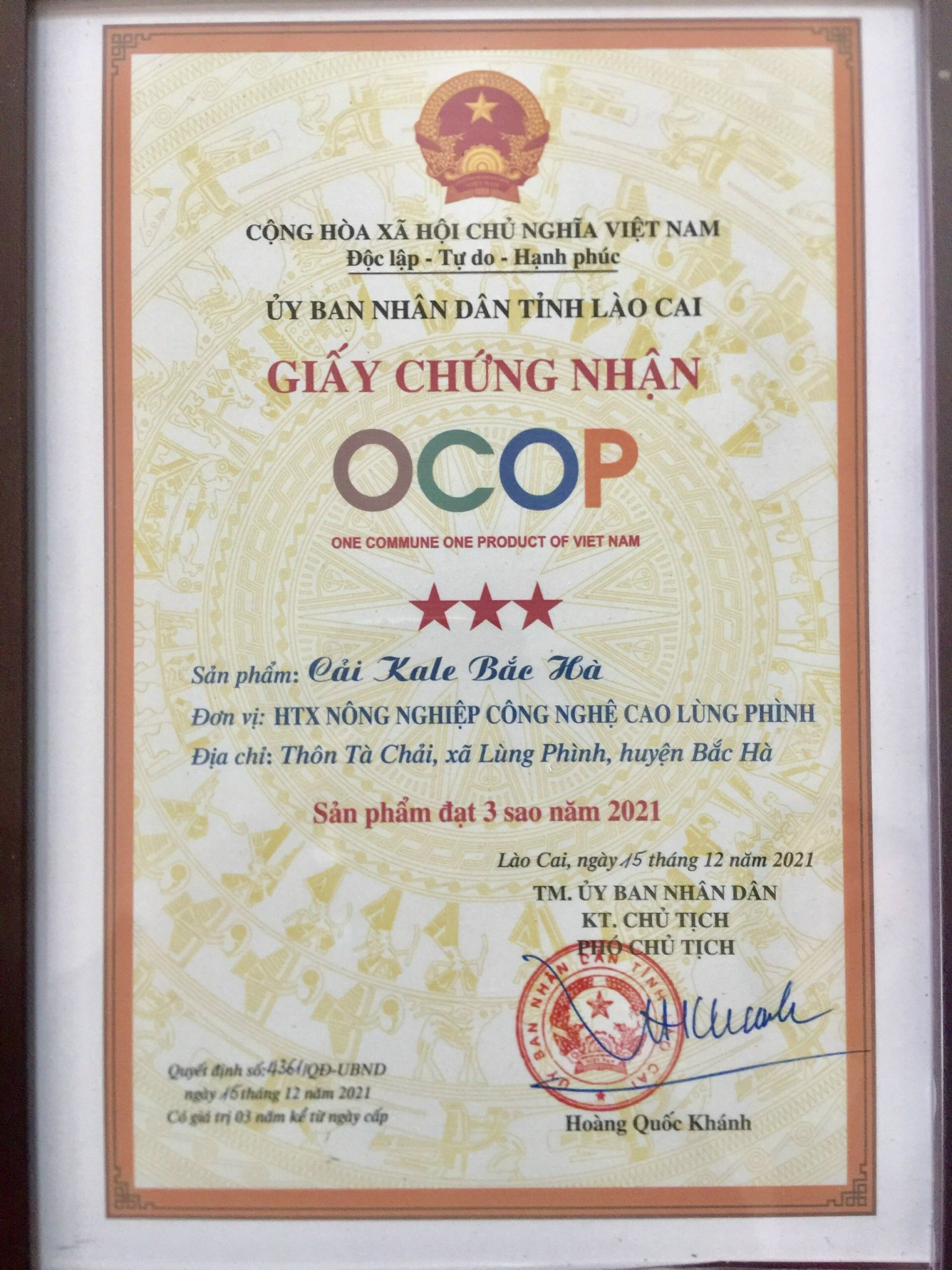 Giấy chứng nhận OCOP Cải Kale Bắc Hà 3 sao