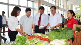 Lao Cai issued a decision approving the “Support system for trade promotion of agricultural products in the province