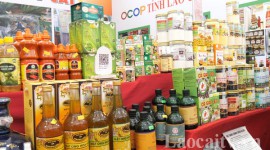 Mời tham gia diễn đàn