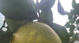 QUY ĐỊNH MỚI VỀ XÉT CHỌN SẢN PHẨM ĐẠT THƯƠNG HIỆU QUỐC GIA VIỆT NAM