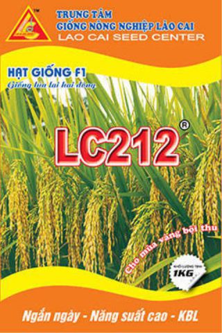 Two-line hybrid rice variety LC 212