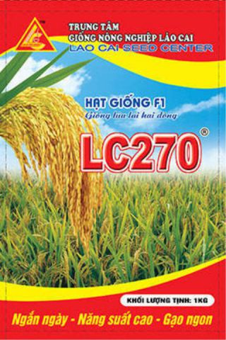 Two-line hybrid rice variety LC 270