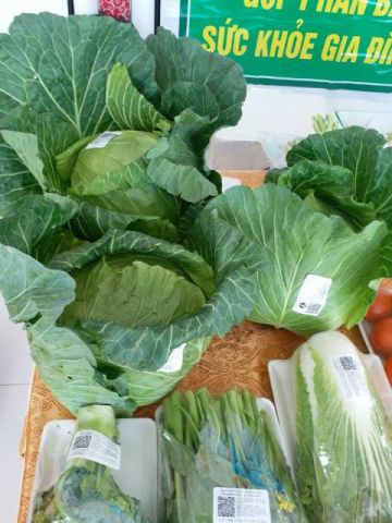 SAFE VEGETABLES, VEGETABLES, FRUITS