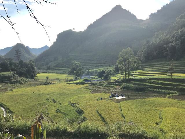 RICE IN COU NU LU, MUONG KHUONG