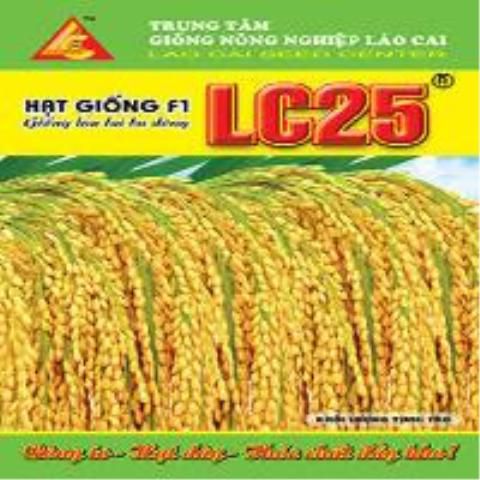 RICE RICE LC25