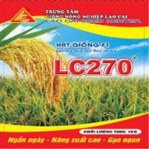 RICE RICE LC 270