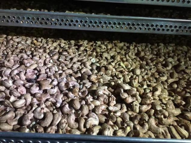 SALTED CASHEWS