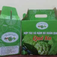 QUẢ NA